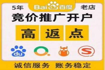 竞价托管策略调整：一则快速提升排名的案例